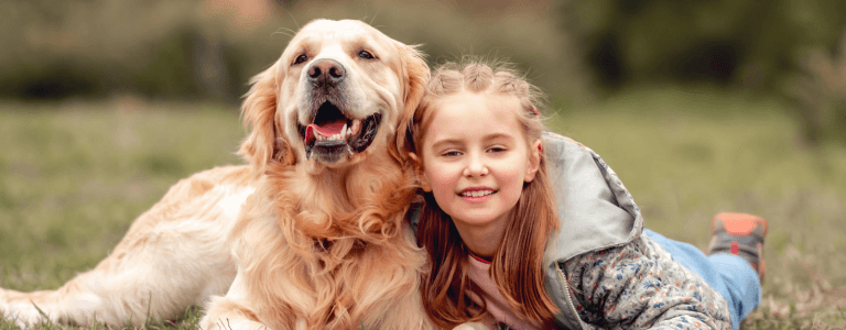 Best pet insurance for golden retrievers