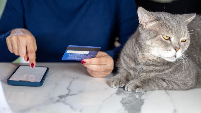 Pet Credit Card with Bad Credit