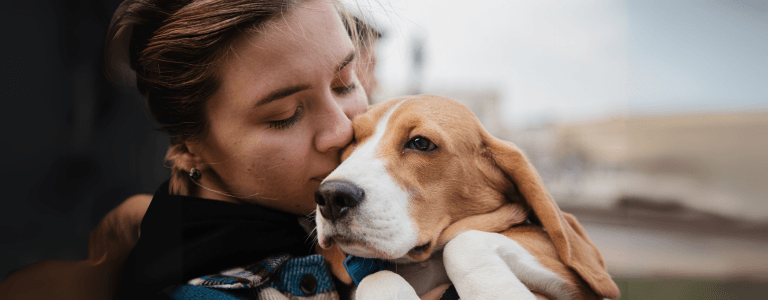 pet insurance for older dogs