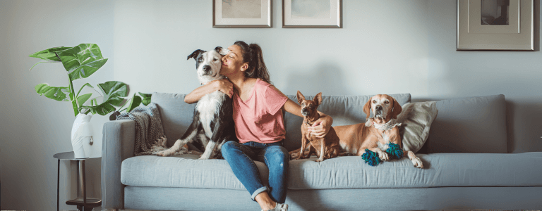does renters insurance cover pet damage