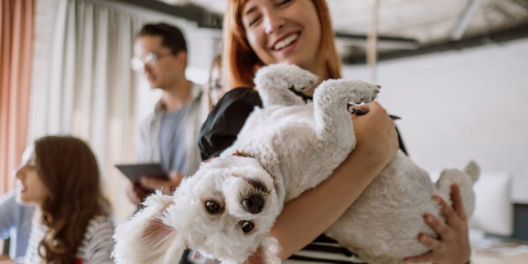 What is The Best Pet Insurance