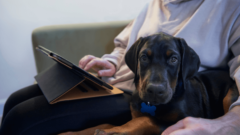 does pet insurance cover heartworm prevention