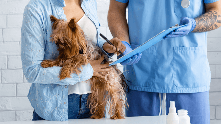 Dog Insurance for Pre-existing Conditions