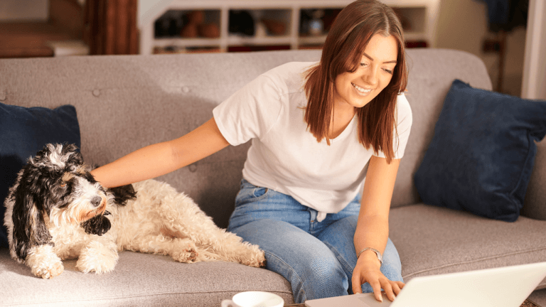 dog insurance for dog walkers