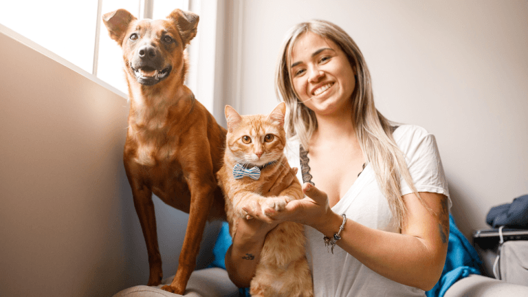 how much does pet insurance cost
